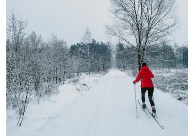 Właściwy wybór nart biegowych